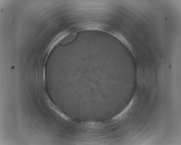 X0000062930790200601131510