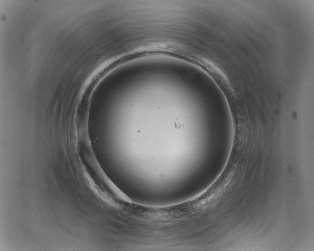 X0000062930792200601131510