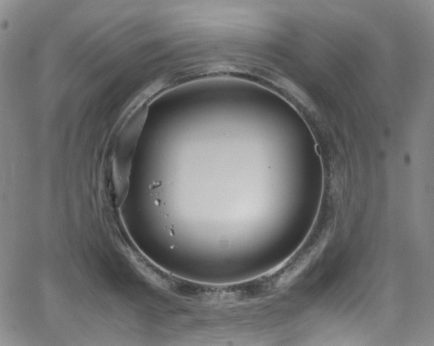 X0000062930793200601131510