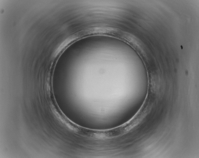 X0000062930794200601131510