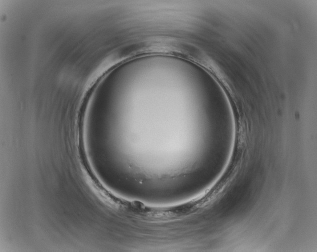 X0000062930795200601131510