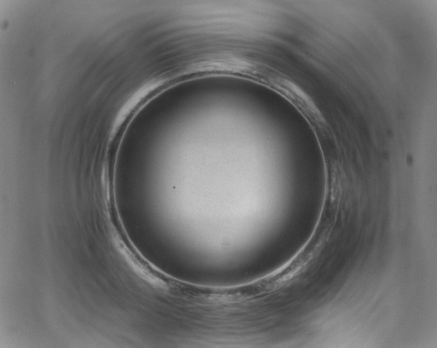 X0000062930796200601131510