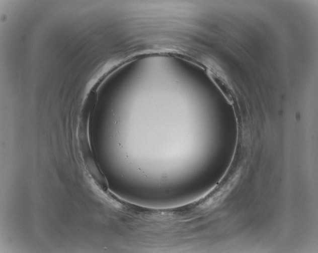 X0000062930797200601131510