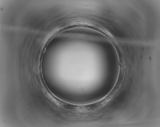 X0000062930799200601131510