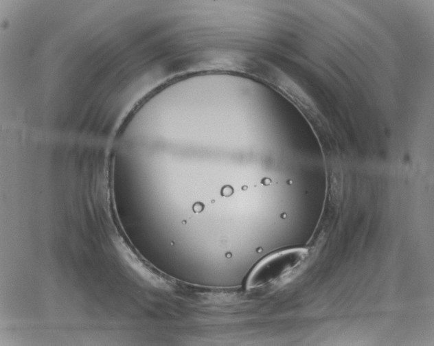 X0000062930800200601131510