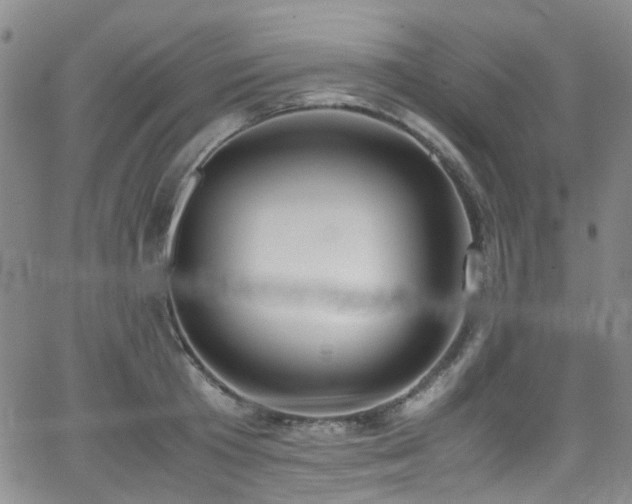 X0000062930801200601131510