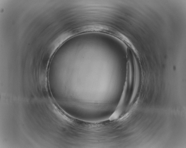 X0000062930802200601131510