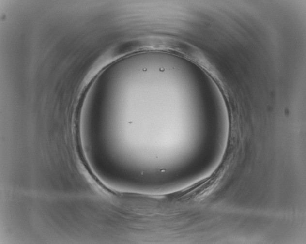 X0000062930803200601131510