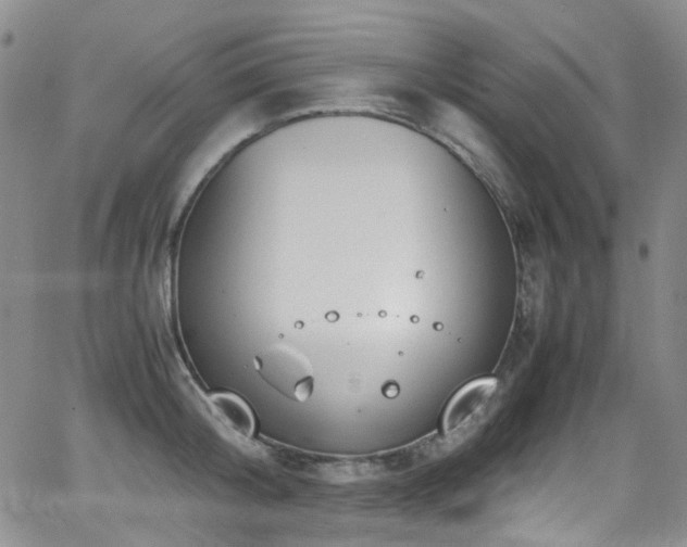 X0000062930804200601131510