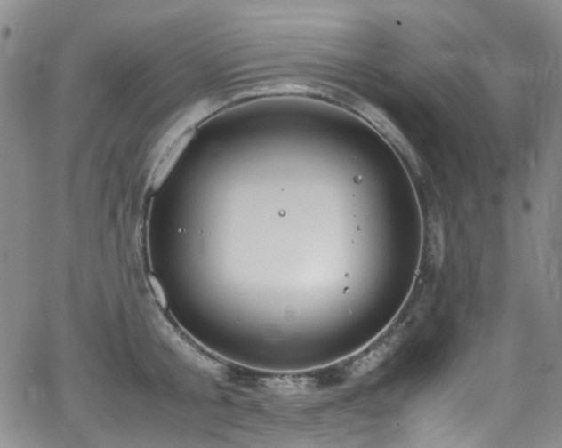 X0000062930805200601131510