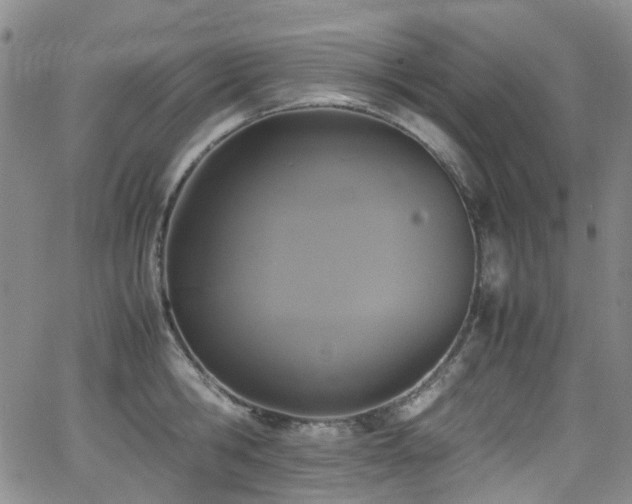 X0000062930806200601131510