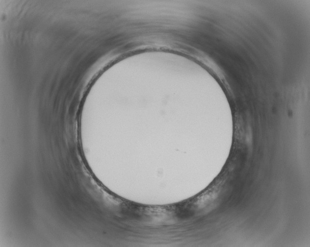 X0000062930807200601131510