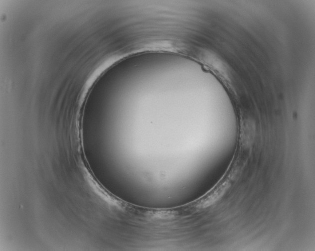 X0000062930808200601131510