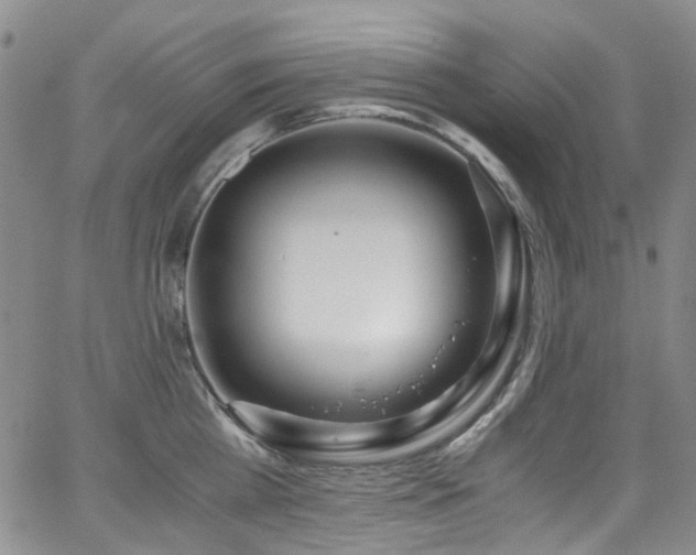 X0000062930809200601131510