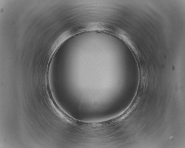 X0000062930810200601131510