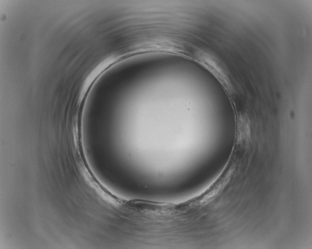 X0000062930812200601131510