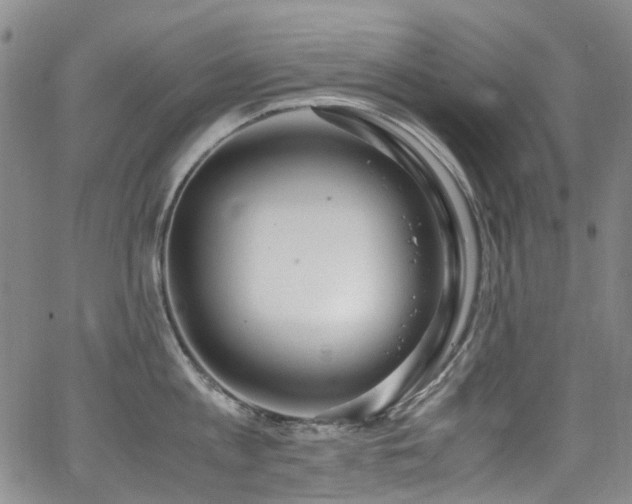 X0000062930813200601131510