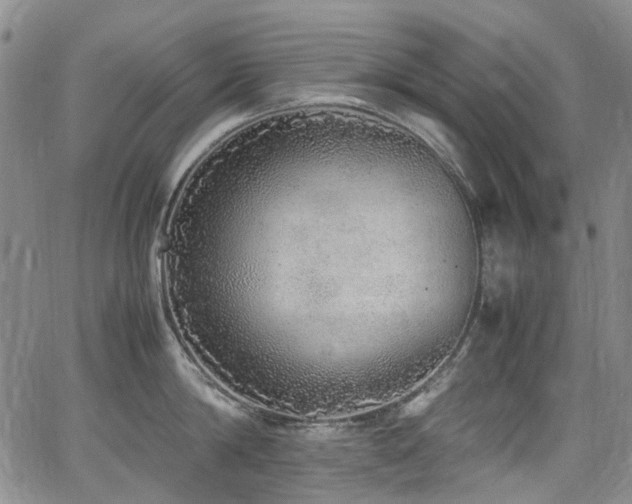 X0000062930814200601131510