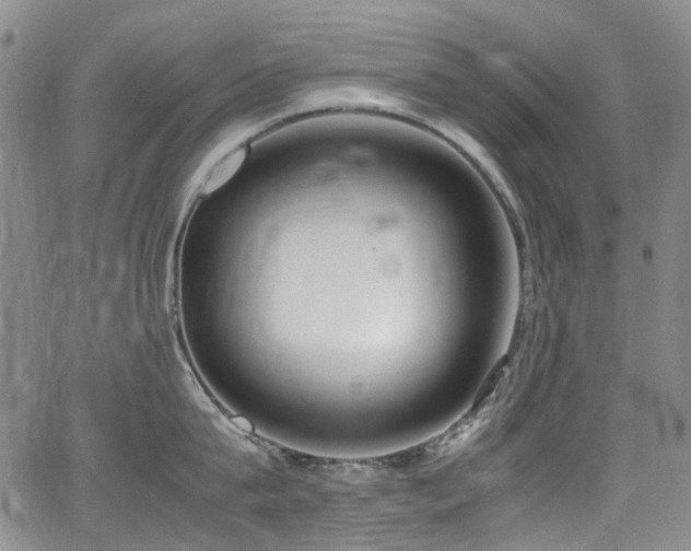 X0000062930815200601131510