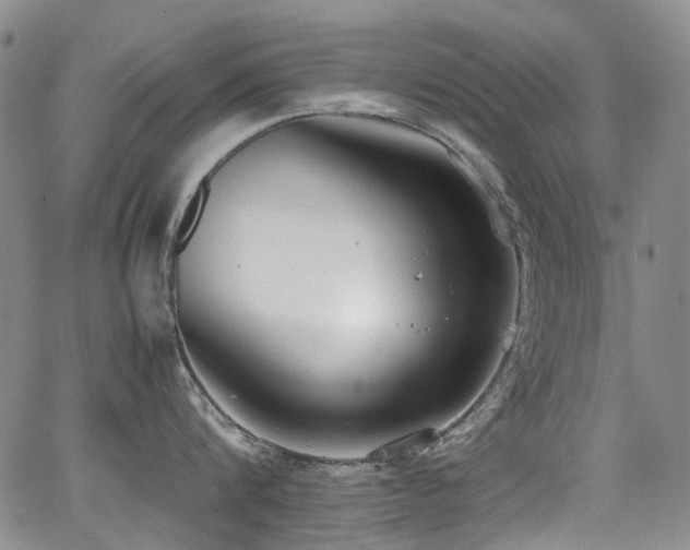 X0000062930816200601131509