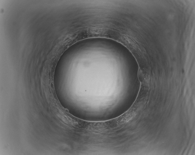 X0000062930817200601131509