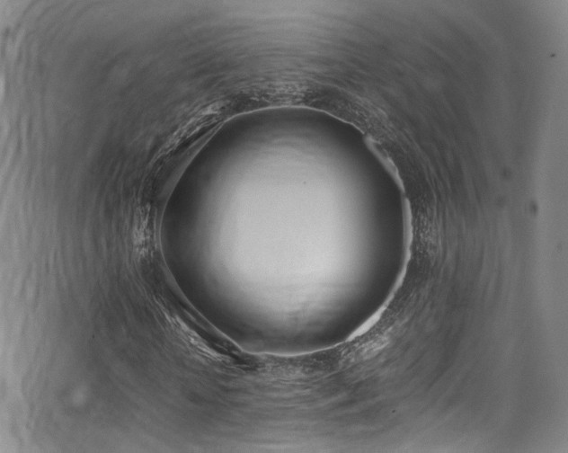 X0000062930818200601131509