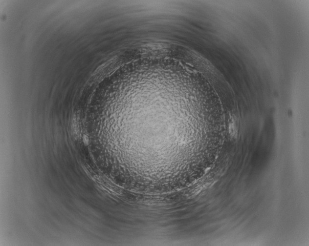 X0000062930819200601131509