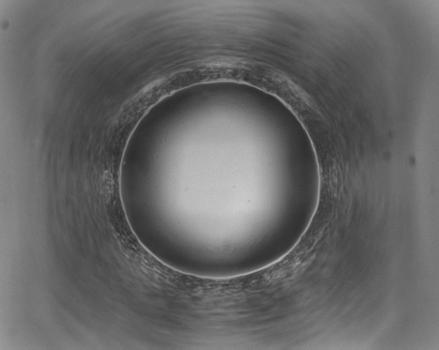 X0000062930821200601131509