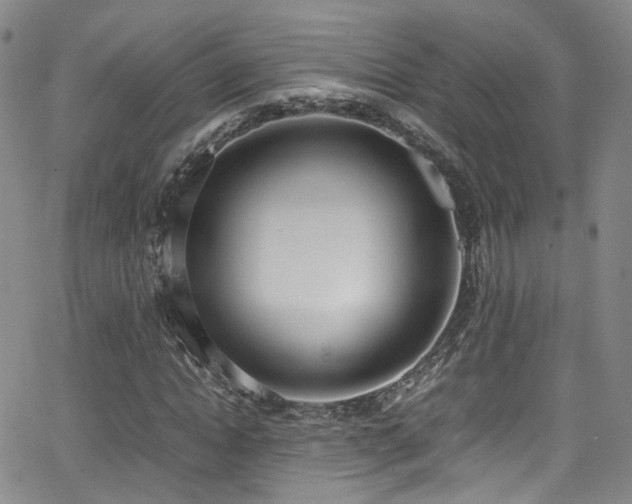 X0000062930822200601131509