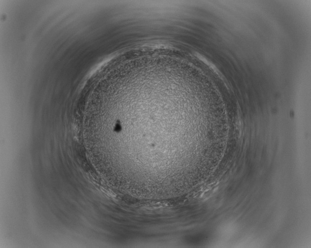 X0000062930823200601131509