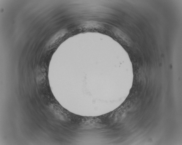 X0000062930824200601131509