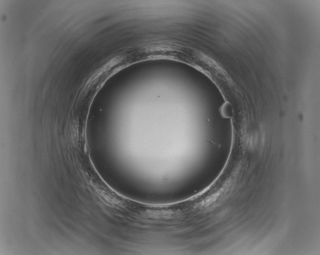 X0000062930825200601131509