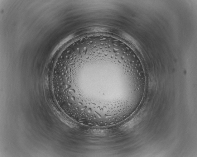 X0000062930827200601131509