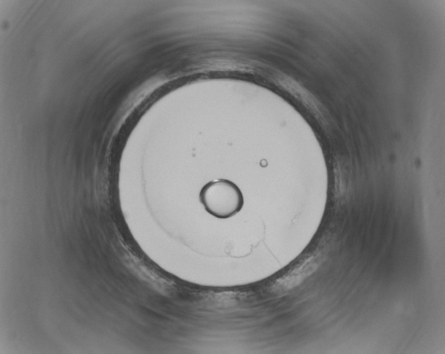 X0000062930828200601131509