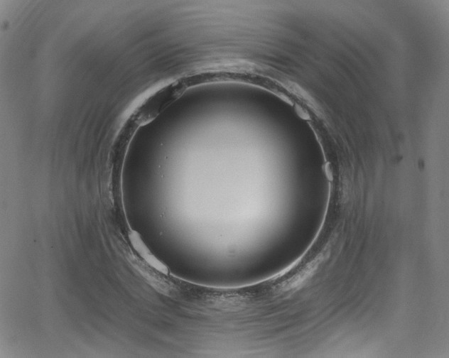 X0000062930830200601131509