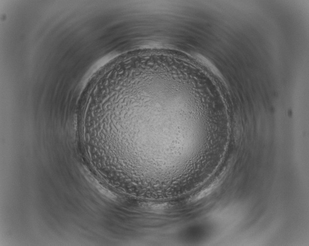 X0000062930831200601131509