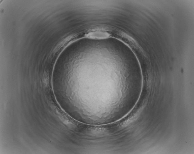 X0000062930833200601131509