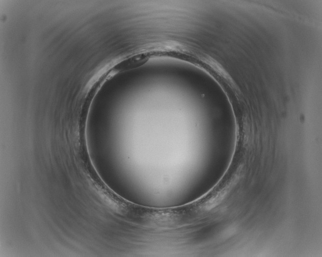 X0000062930834200601131509