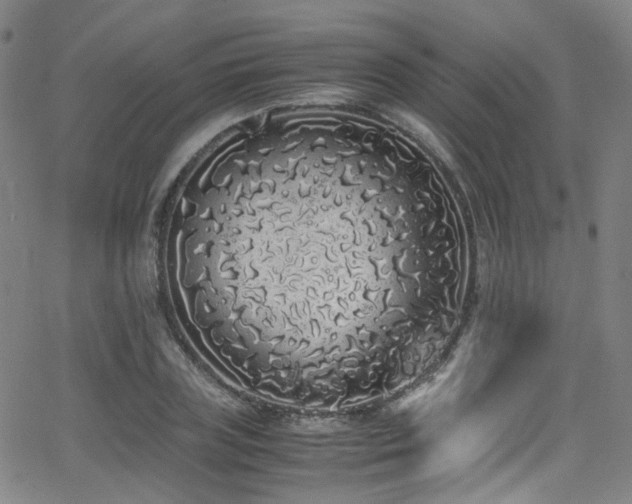 X0000062930835200601131509