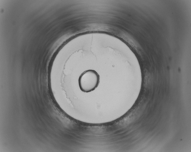 X0000062930836200601131509