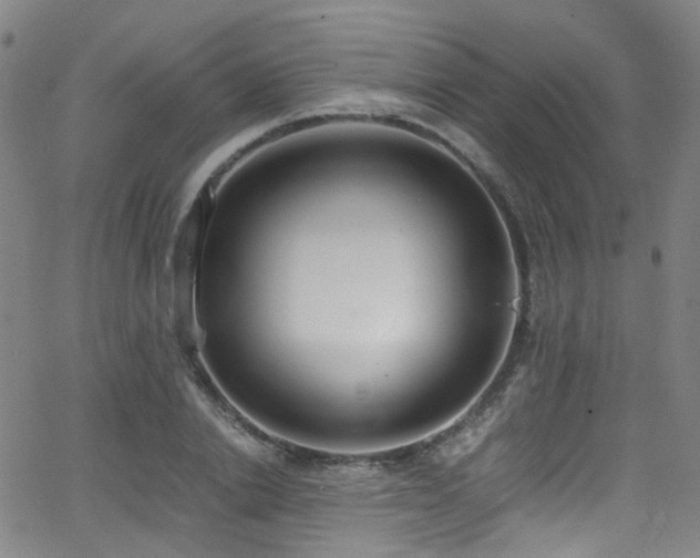 X0000062930838200601131509