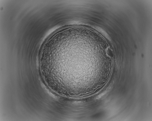 X0000062930839200601131509