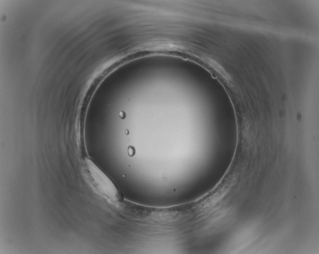 X0000062930840200601131509