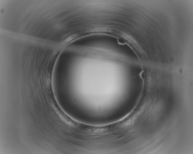 X0000062930841200601131509