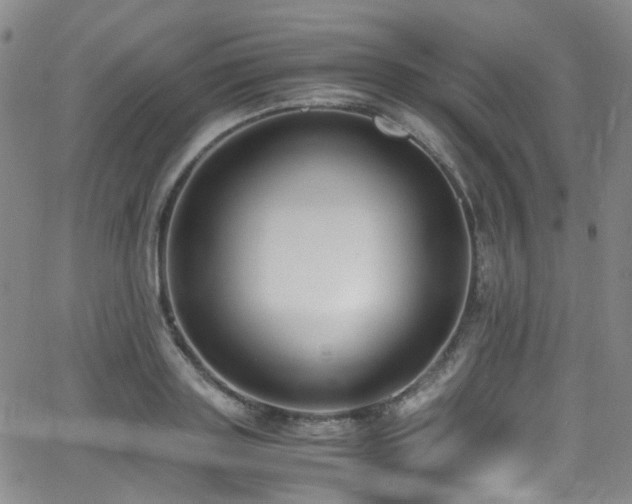 X0000062930843200601131509