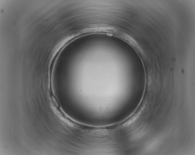 X0000062930844200601131509