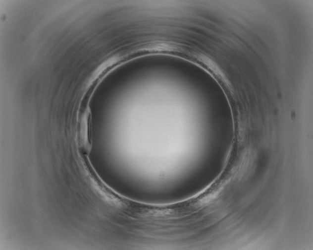 X0000062930845200601131509