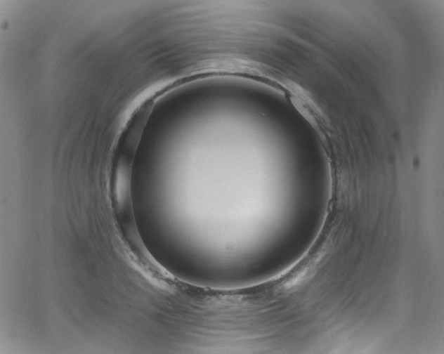 X0000062930846200601131509