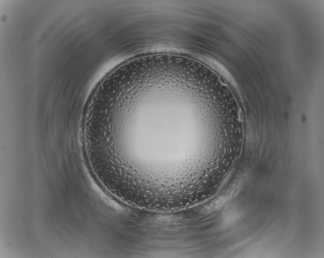 X0000062930847200601131509