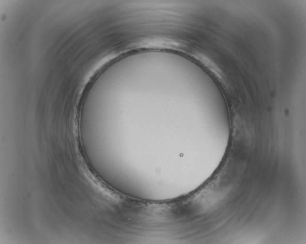 X0000062930848200601131509